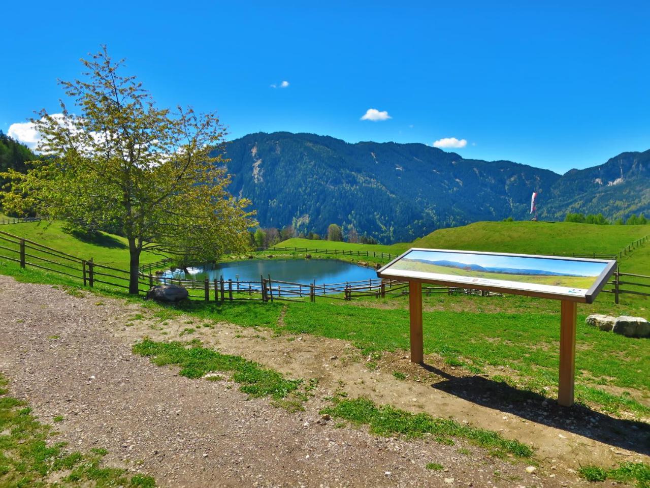 Hotel Trudnerhof Im Naturpark Trudnerhorn Trodena Extérieur photo